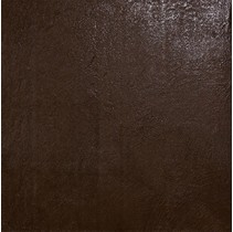 Leonardo Resine Br 3