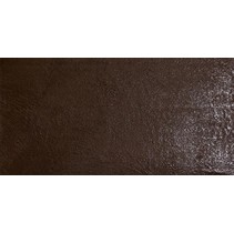 Leonardo Resine Br 2