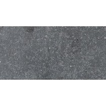 Leonardo Stone Project Bluestone 30x60 Lap.