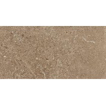 Leonardo Stone Project Cluny 60x120 Nat.