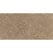 Настенная плитка Leonardo Stone Project Cluny 30x60 Nat.