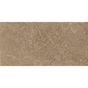 Настенная плитка Leonardo Stone Project Cluny 60x120 Pol.