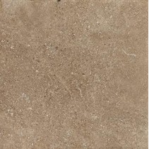 Leonardo Stone Project Cluny 60x60 Pol.