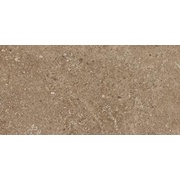 Настенная плитка Leonardo Stone Project Cluny 30x60 Pol.