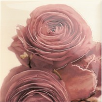 Mainzu Lucciola Decor Cuore 8 (mix без выбора)