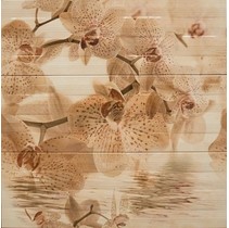 Azulejos Mallol Paris Composicion Orquidea Beige