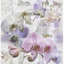 Azulejos Mallol Paris Orquidea-3 Lila