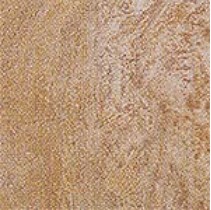 Marca Corona Evolution Evo. Beige 10 6084