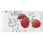 Декор Monopole Ceramica Aqua Decor Fresa