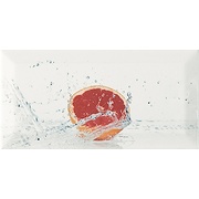 Декор Monopole Ceramica Aqua Decor Pomelo