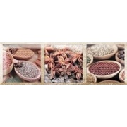 Декор Monopole Ceramica Exquisit Exquisit A Brillo