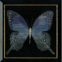 Monopole Ceramica Farfalla Blu Negro