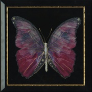 Декор Monopole Ceramica Farfalla Rosa Negro