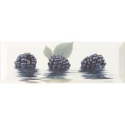 Декор Monopole Ceramica Fresh Decor Moras