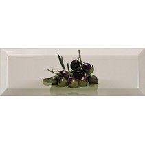 Monopole Ceramica Magnum Olivas