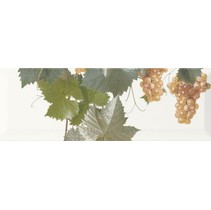 Monopole Ceramica Moscatel Blanco 2