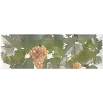 Monopole Ceramica Moscatel Blanco 1
