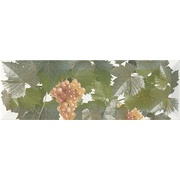 Декор Monopole Ceramica Moscatel Blanco 1