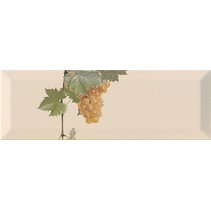 Monopole Ceramica Moscatel Crema 3