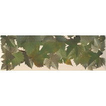 Monopole Ceramica Moscatel Hojas Crema