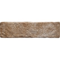 Monopole Ceramica Muralla Leon