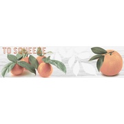 Декор Monopole Ceramica Naranjas B (To Squeeze)