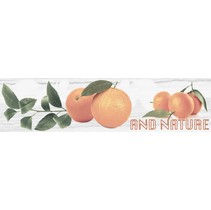 Monopole Ceramica Naranjas C (Oranges)