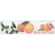 Декор Monopole Ceramica Naranjas C (Oranges)