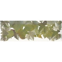 Monopole Ceramica Tempranillo Blanco Cenefa Hojas Blanco