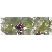 Декор Monopole Ceramica Tempranillo Blanco Decor Blanco-1