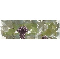 Monopole Ceramica Tempranillo Blanco Decor Blanco-1