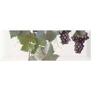 Декор Monopole Ceramica Tempranillo Blanco Decor Blanco-2