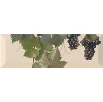 Monopole Ceramica Tempranillo Blanco Decor Crema-2