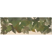 Бордюр Monopole Ceramica Tempranillo Blanco Cenefa Hojas Crema
