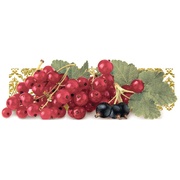 Декор Monopole Ceramica Tutti Frutti Ribes
