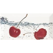 Декор Monopole Ceramica Bisel Decor Aqua Cherry