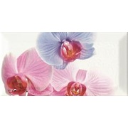 Декор Monopole Ceramica Bisel Decor Orchidea 1