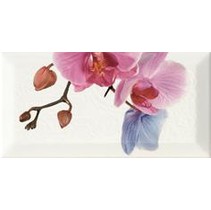 Monopole Ceramica Bisel Decor Orchidea 4