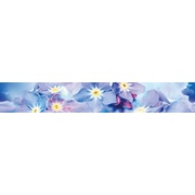 Бордюр Муза-Керамика Forget-me-not B300D248