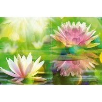 Муза-Керамика Lotus P4D287