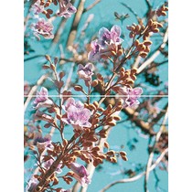 Муза-Керамика Spring P2D261