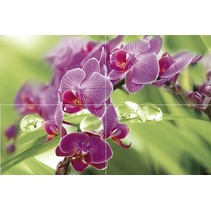 Муза-Керамика Thailand P4D235