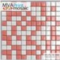 MVAPrintMosaic Мозаика 25FL-S-084