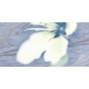 Декор Нефрит Реноме Голубой 2