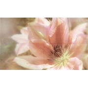 Декор Novabell Charme Chw d01k Comp. 4 pz. Fiore