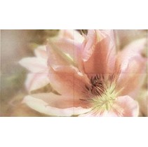 Novabell Charme Chw d01k Comp. 4 pz. Fiore