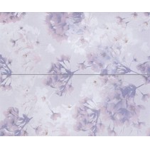 Novabell Musa Muw D25k Comp. 2 PZ. Ramage Lilac