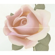 Декор Novogres Duomo Dec. Rosal - 2 (к цветам Blanco и Rosa)