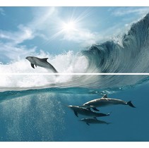 Novogres Fresh Décor Goa Acuario (комплект из 2 шт)