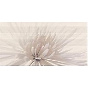 Декор Opoczno Avangarde Flower